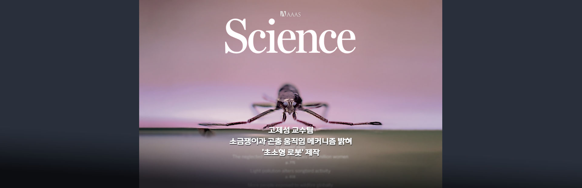 고제성 교수팀, 소금쟁이과 곤충 움직임 메커니즘 밝혀 '초소형 로봇' 제작